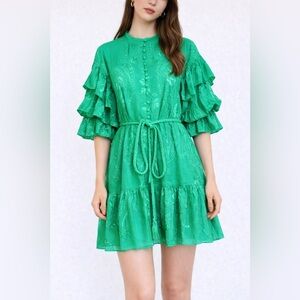 Alice+Olivia Embroidered Lined Green 3/4 Sleeve Short Sample Dress $560